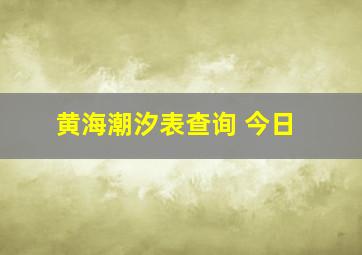 黄海潮汐表查询 今日